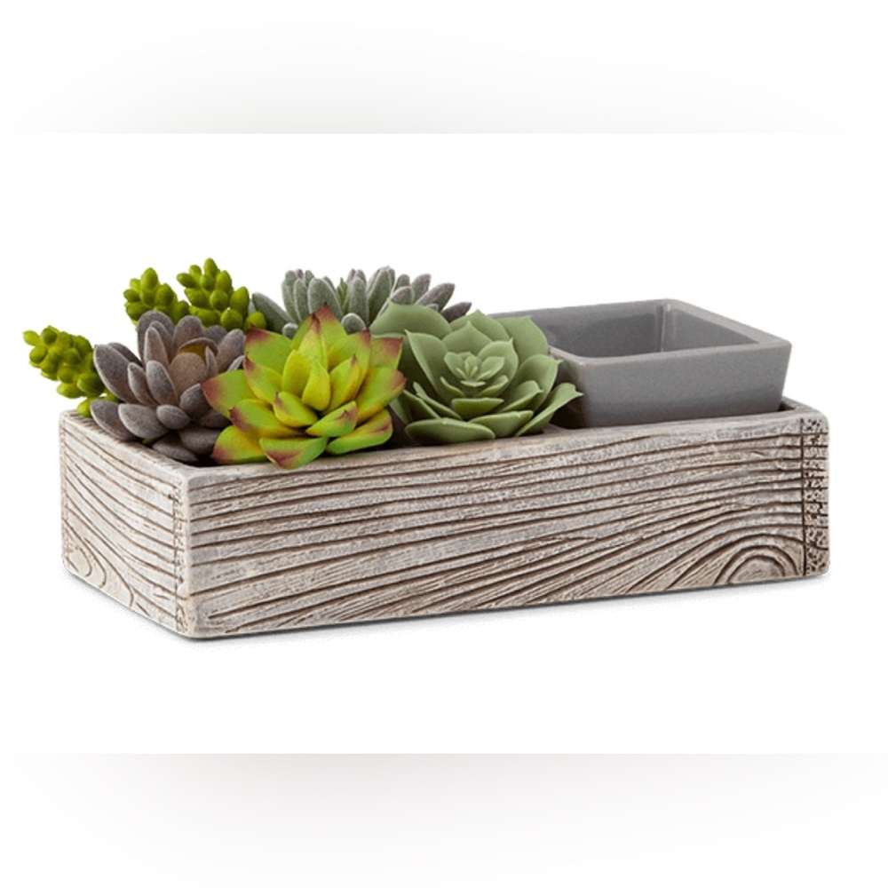 Scentsy Suc-cute-lent warmer